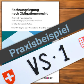 Symbolbild für Blogbeitrag mit Praxisbeispiel zur Verbuchung von Vermögenswerten